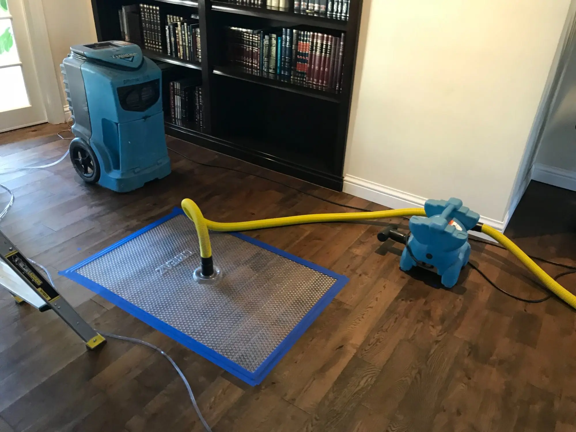 Floor mat drying system dehumidifier hardwood Georgia